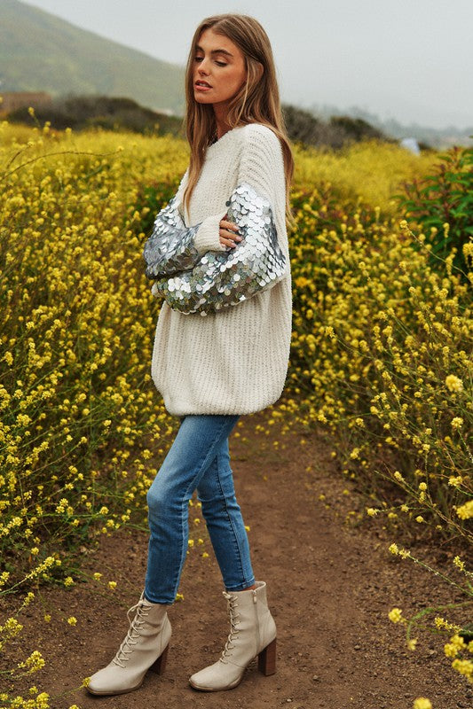 Sequin Sleeve Sweater Knit Top