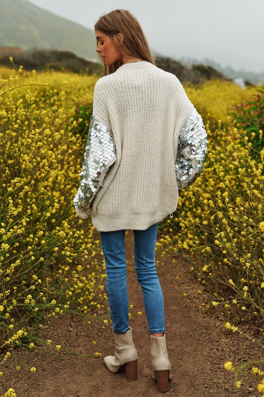 Sequin Sleeve Sweater Knit Top