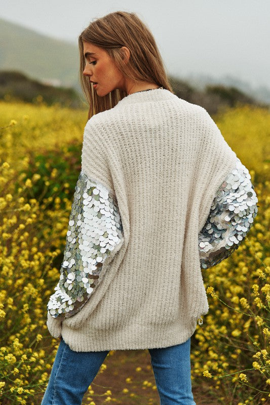 Sequin Sleeve Sweater Knit Top